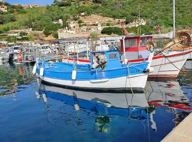Maina Cargèse