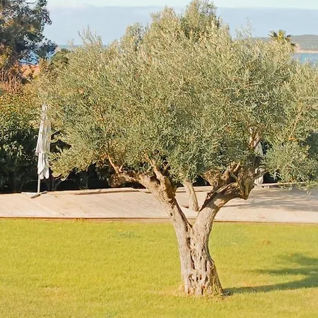 Maina Appartement Cargèse