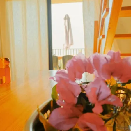Appartement Maina