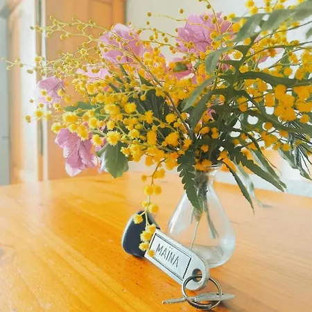 Maina Apartmán Cargèse