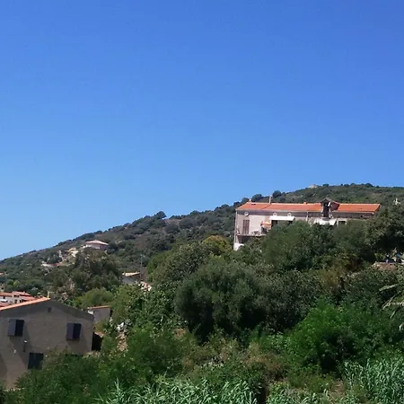 Maina * Cargèse