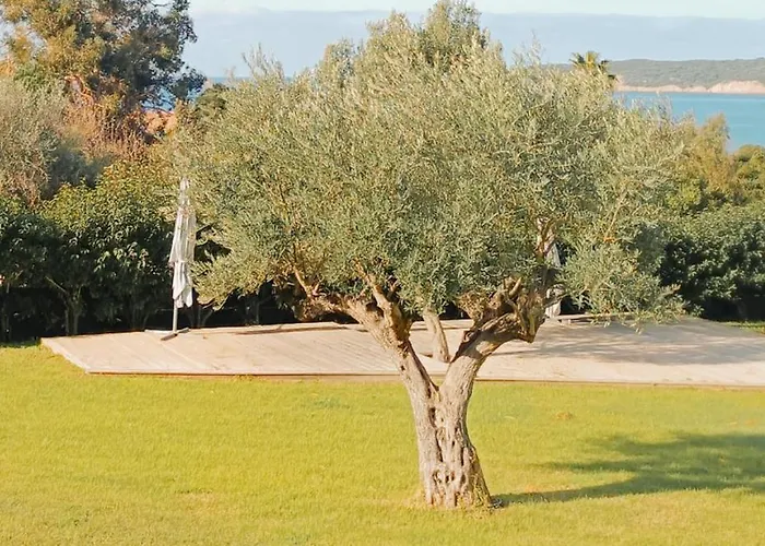 Maina Daire Cargèse