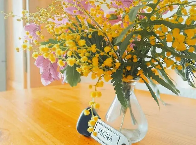 Maina Daire Cargèse